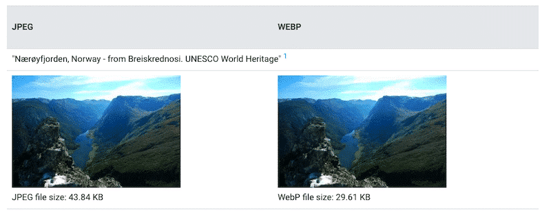 WebP file is lighter than JPEG file with the same quality - Source: Google WebP developers